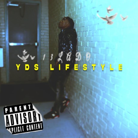 YDS Lifestyle | Boomplay Music