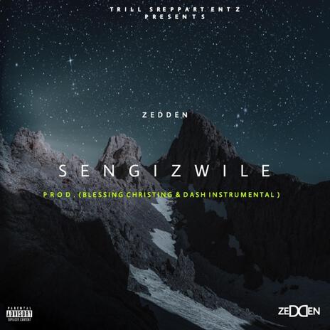 Sengizwile | Boomplay Music