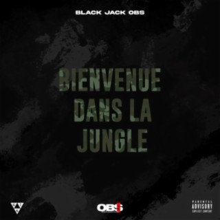 Bienvenue dans la jungle lyrics | Boomplay Music