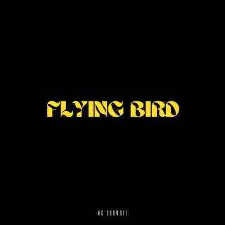 FLYING BIRD lyrics | Boomplay Music