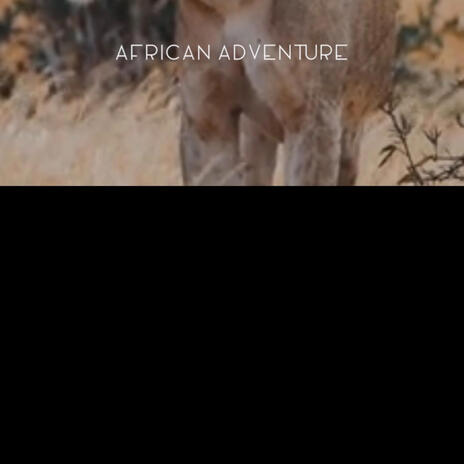 AFRICAN ADVENTURE | Boomplay Music