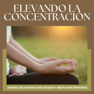 Elevando la Concentración: Sonidos Relajantes para Estudio y Meditación Profunda