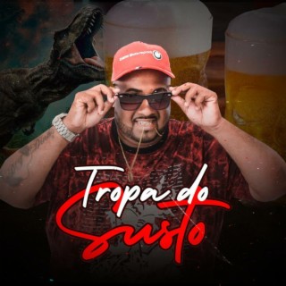 TROPA DO SUSTO AO VIVO DJ DINHO DO COMPLEXO