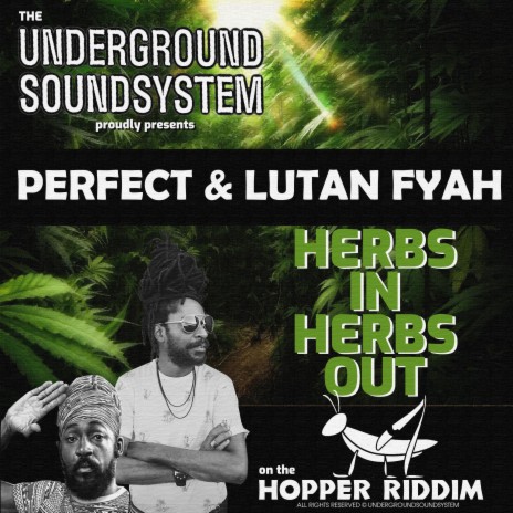 HERBS IN HERBS OUT (feat. Perfect Giddimani & Lutan Fyah) | Boomplay Music