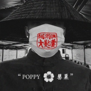 Poppy 罌粟