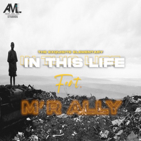 In This Life ft. Mr Ally | Boomplay Music