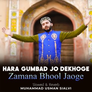 Hara Gumbad Jo Dekhoge Zamana Bhool Jaoge Lofi