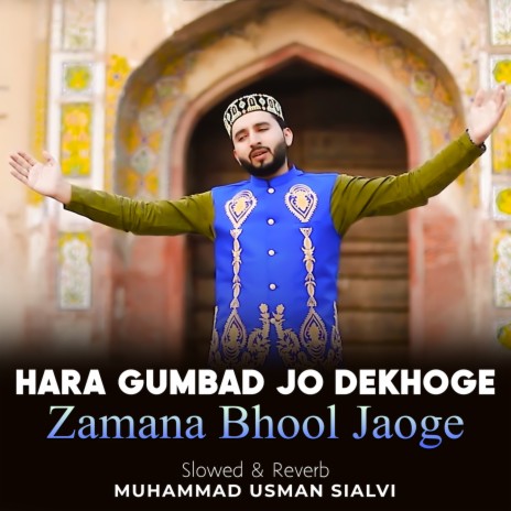 Hara Gumbad Jo Dekhoge Zamana Bhool Jaoge Lofi