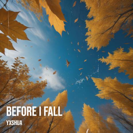 Before I Fall | Boomplay Music