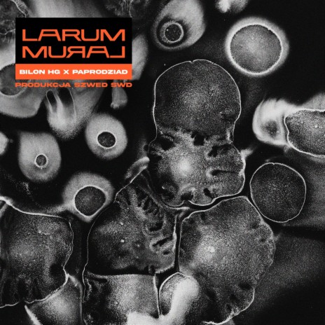 Larum ft. Paprodziad, Larum & Szwed Swd