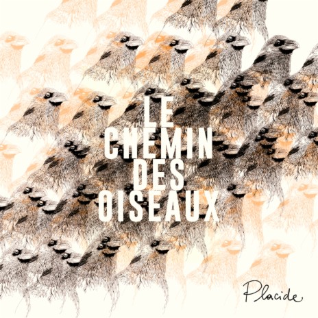 Le chemin des oiseaux | Boomplay Music