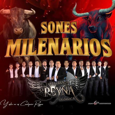 Sones Milenarios | Boomplay Music