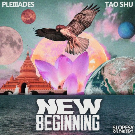 New Beginning ft. Pleiiiades | Boomplay Music