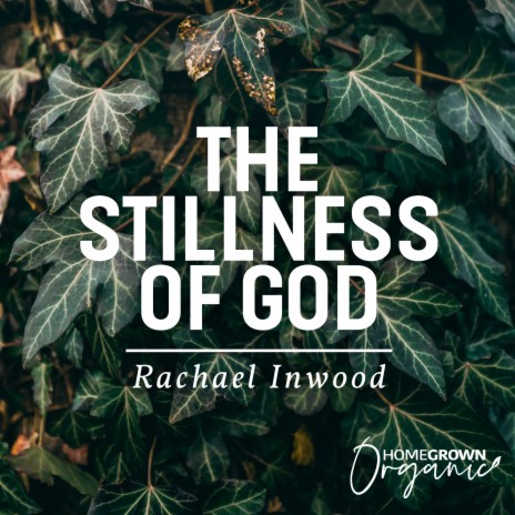 The Stillness of God | Boomplay Music