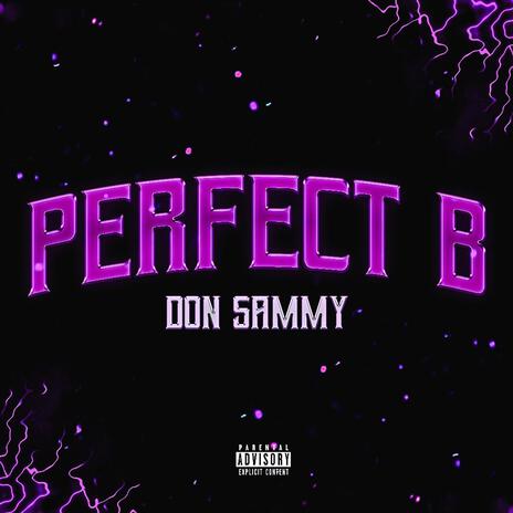 Perfect B | Boomplay Music