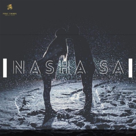 Nasha Sa | Boomplay Music