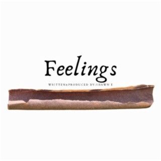 Feelings