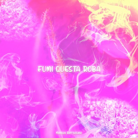 Fumi questa roba | Boomplay Music