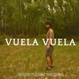 Vuela Vuela