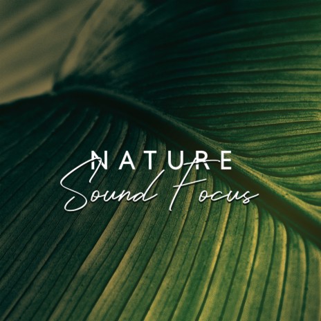 Gentle Nature's Pulse ft. Mental Healing Bpm & Nature's Beauty