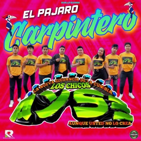 El Pajaro Carpintero | Boomplay Music