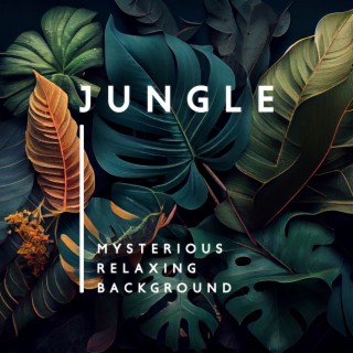 Jungle Mysterious Relaxing Background