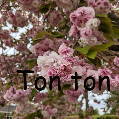 Ton Ton | Boomplay Music