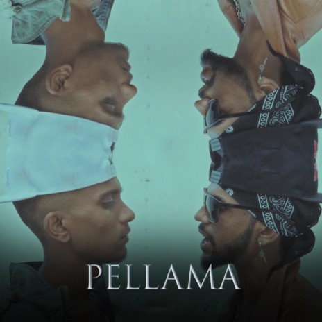 Pellama ft. Tinty | Boomplay Music