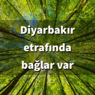 Diyarbakır etrafında bağlar var