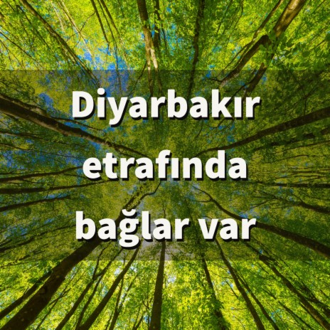 Diyarbakır etrafında bağlar var | Boomplay Music