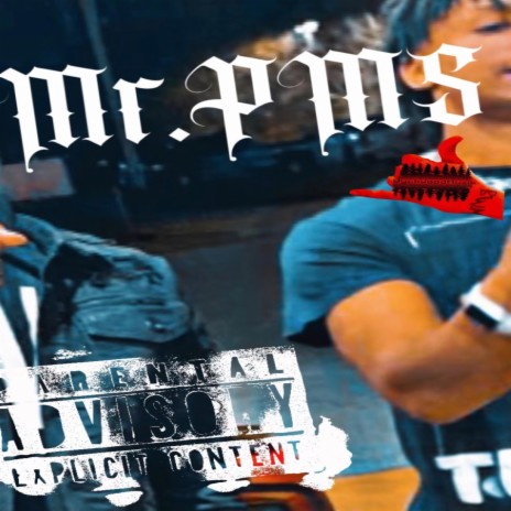 Mr PMS | Boomplay Music