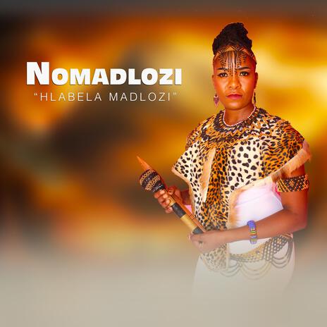 Hlabela Madlozi 1 | Boomplay Music