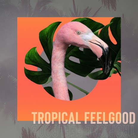 Tropical Feelgood ft. Josh Stephens, Chaz Umamoto & Daniel Lyons | Boomplay Music