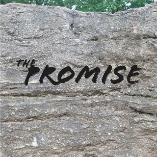 The Promise