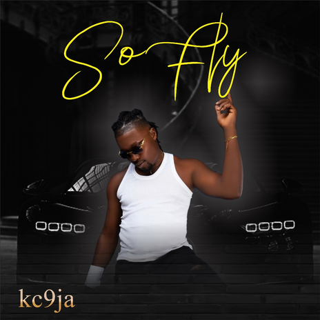 So Fly | Boomplay Music