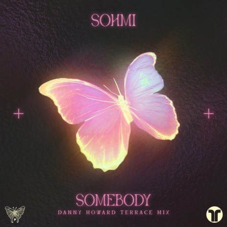 Somebody (Danny Howard Terrace Mix) | Boomplay Music