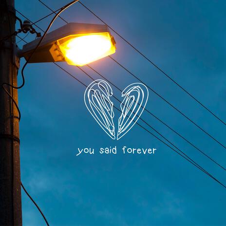 You Said Forever | Boomplay Music