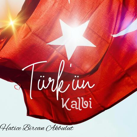 Türkün Kalbi | Boomplay Music