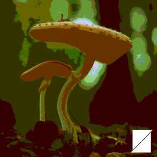 Psychedelic mushroom