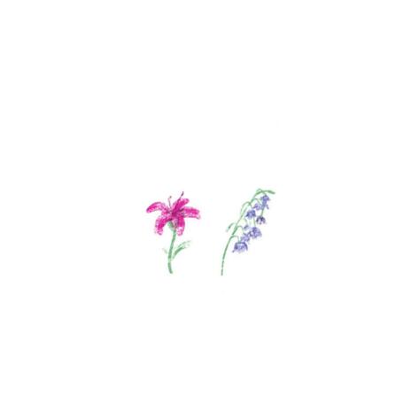 flowers | Boomplay Music