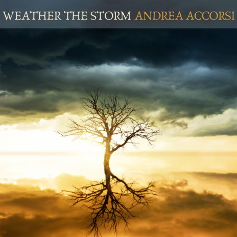 Weather the Storm | Boomplay Music