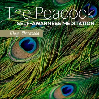 The Peacock: Self-Awarness Meditation to Boost Self-Esteem, Confidence, Compassion and Enjoying Happy Life, Guitar Music and Sound of Nature