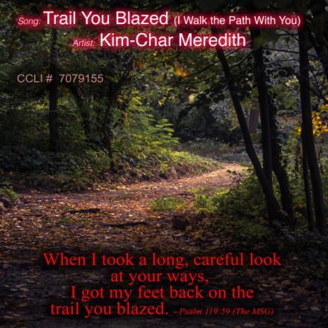 Trail You Blazed (I Walk the Path with You) | Boomplay Music