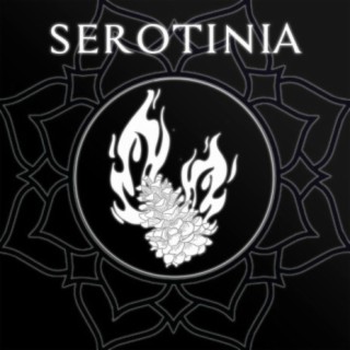 Serotinia