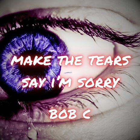 Make the Tears Say I'm Sorry | Boomplay Music