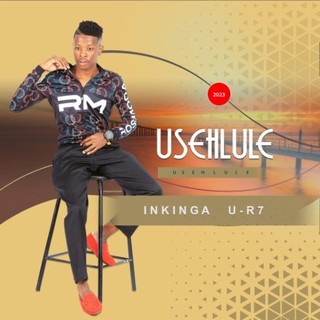 Ungamyeki ft. Amahle Dlamini | Boomplay Music