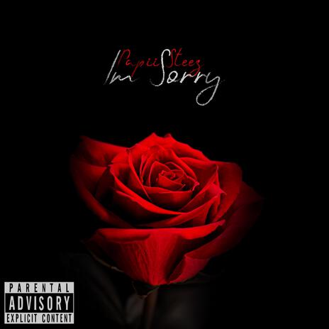 I'm Sorry | Boomplay Music