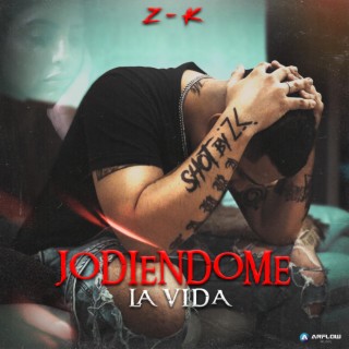 Jodiéndome la vida lyrics | Boomplay Music