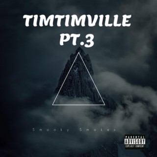 TimTimville 3