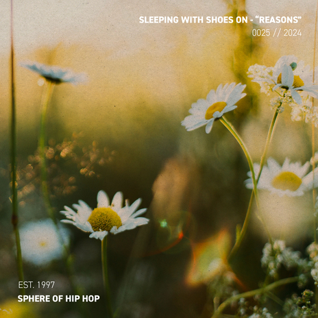 Reasons ft. Sphere of Hip-Hop | Boomplay Music